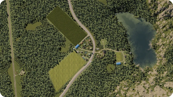 Sunflower field aerial photography